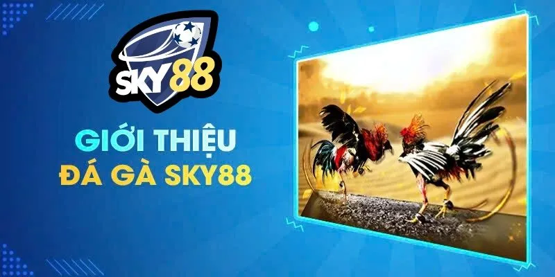 ĐÁ GÀ SKY88 1 Giới thiệu về Đá Gà SKY88