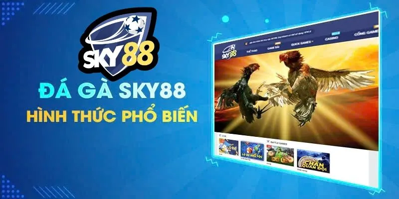 ĐÁ GÀ SKY88 3 Hình thức Đá Gà SKY88
