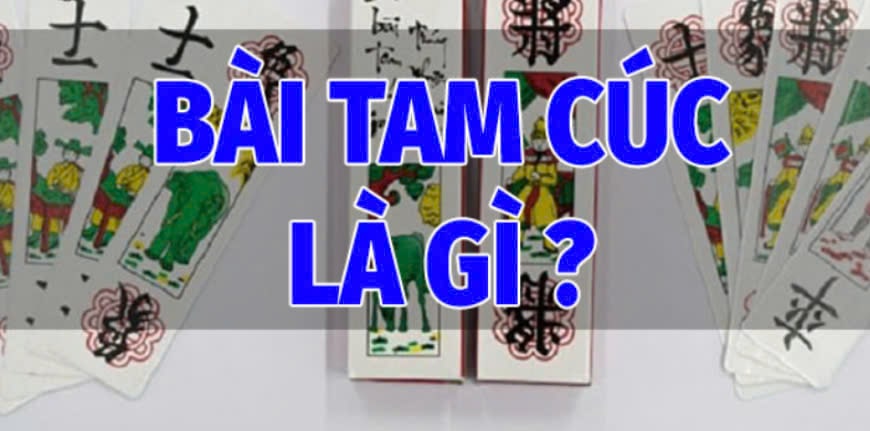 Bài Tam Cúc Sky88 Hướng Dẫn Tham Gia Cổng Game Casino Hấp Dẫn 2 Bài Tam Cúc Sky88 Là Gì?